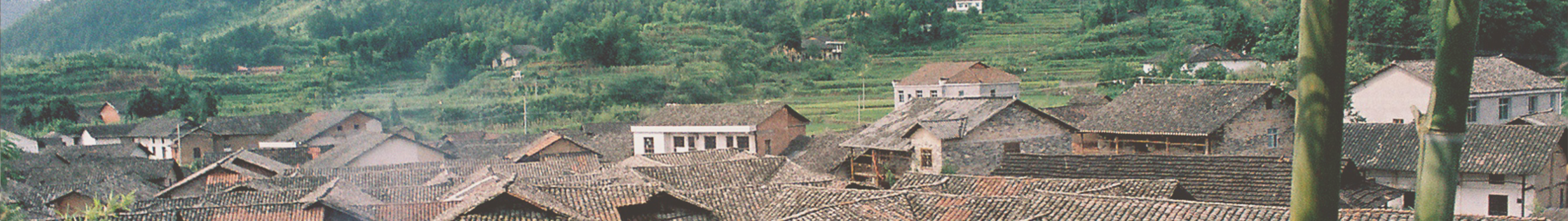 jdb电子游戏平台